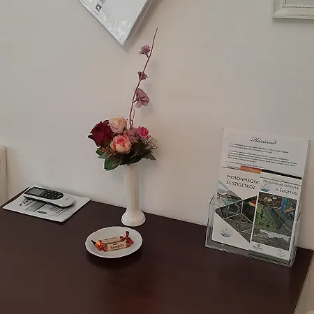 Edina Vintage Vendeghaz